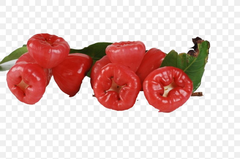 Java Apple Syzygium Jambos Watery Rose Apple Nutrition Auglis, PNG, 1024x680px, Java Apple, Apple, Auglis, Bell Pepper, Bell Peppers And Chili Peppers Download Free