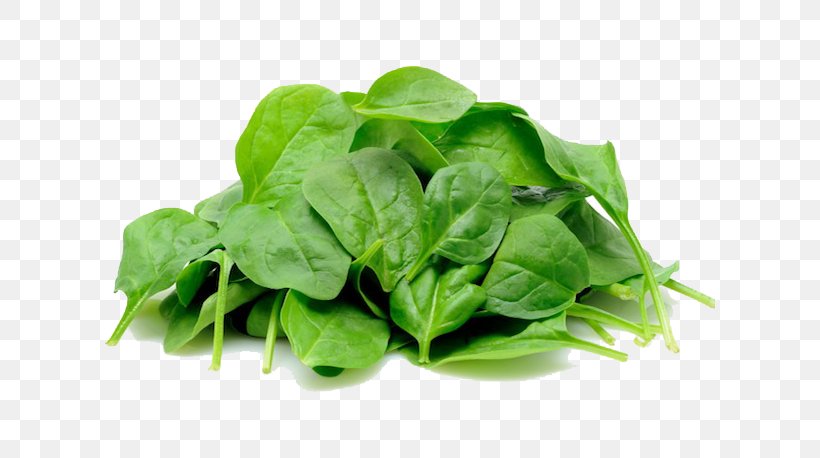 Spinach Greens Vegetable Image, PNG, 610x458px, Spinach, Basil, Chard, Cruciferous Vegetables, Dietary Fiber Download Free