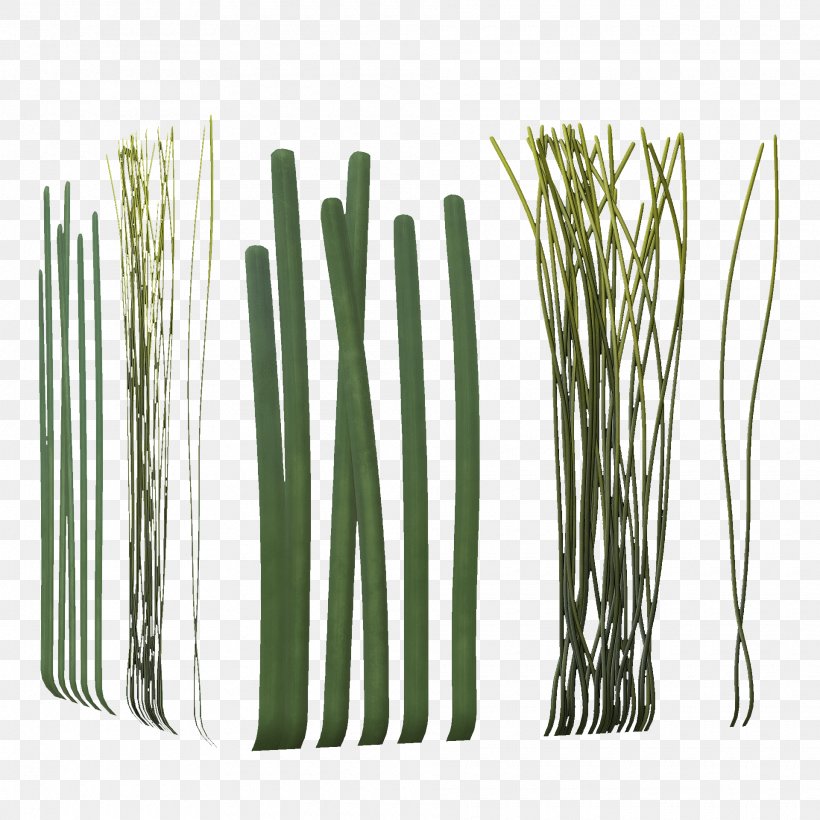 Allium Fistulosum Bamboo Welsh Cuisine Plant Stem, PNG, 1920x1920px, Allium Fistulosum, Allium, Bamboo, Commodity, Family Download Free