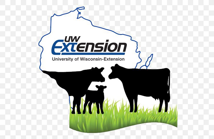 Dairy Cattle University Of Wisconsin–Extension Green Bay Manitowoc Fond Du Lac, PNG, 575x534px, Dairy Cattle, Area, Beef Cattle, Brand, Brown County Wisconsin Download Free