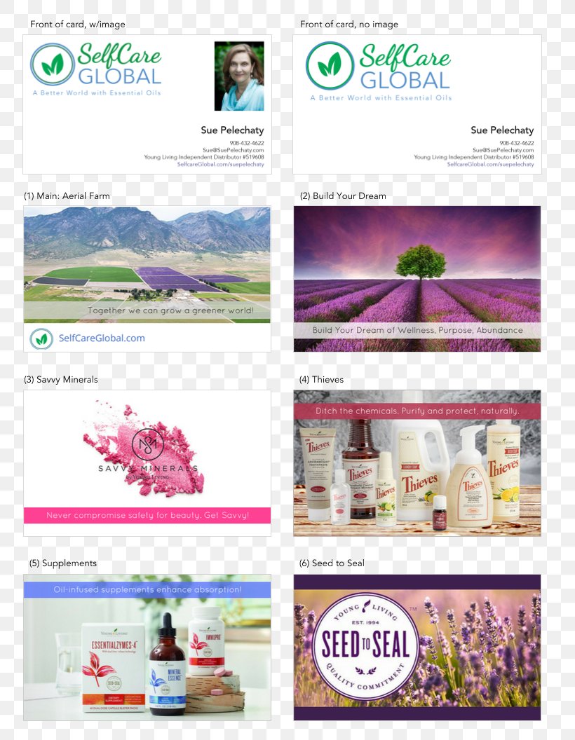Graphic Design Brochure Web Page, PNG, 816x1056px, Brochure, Advertising, Brand, Purple, Seed Download Free