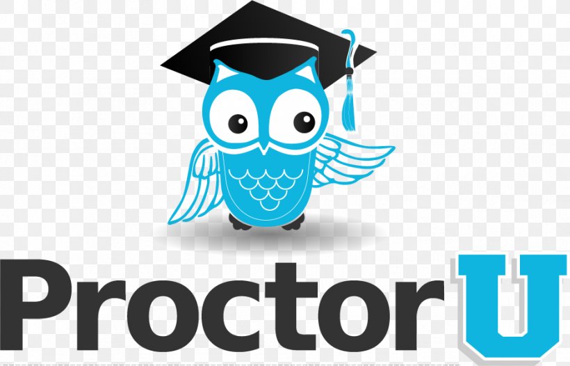 ProctorU Test Education Student, PNG, 933x599px, Proctor, Alabama, Beak, Bird, Bird Of Prey Download Free