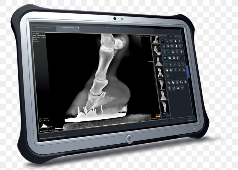 Radiology Veterinarian Tablet Computers Veterinary Medicine Medical Imaging, PNG, 1852x1327px, Radiology, Computer Hardware, Display Device, Electronics, Gadget Download Free