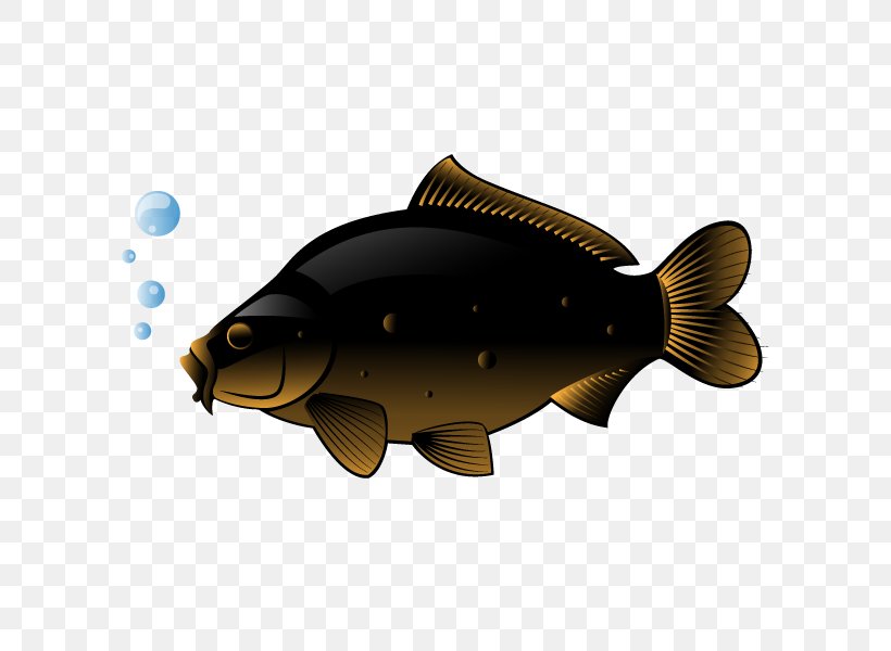 Swordfish Freshwater Fish Clip Art, PNG, 600x600px, Fish, Aquatic Animal, Bony Fish, Color, Drawing Download Free