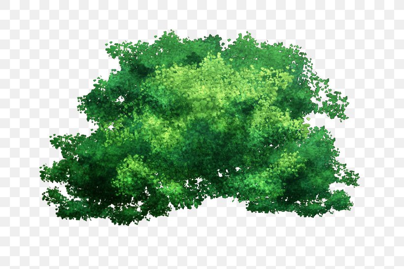 Tree Branch Bark Plant, PNG, 740x546px, Tree, Bark, Black Locust, Branch, Grass Download Free