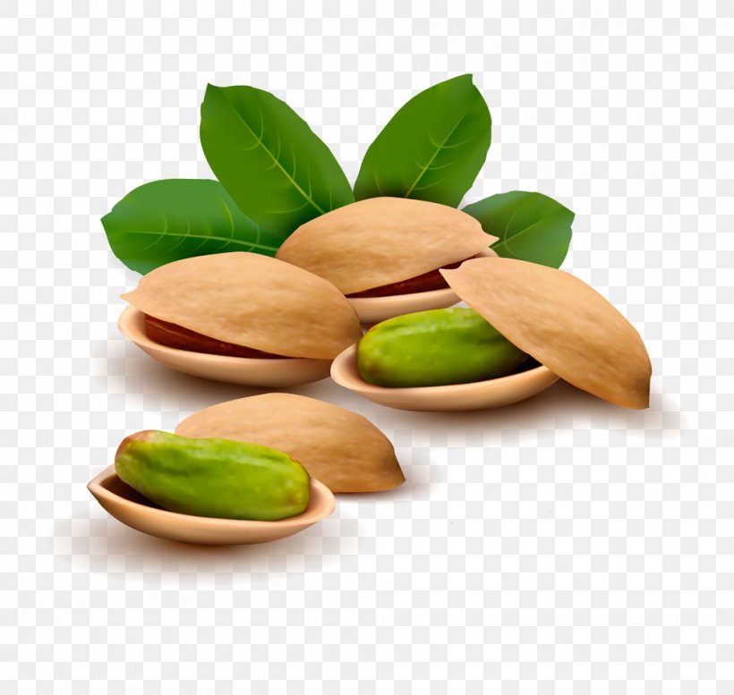Pistachio Ice Cream Nut Illustration, PNG, 1000x948px, Pistachio Ice Cream, Commodity, Food, Hazelnut, Ingredient Download Free