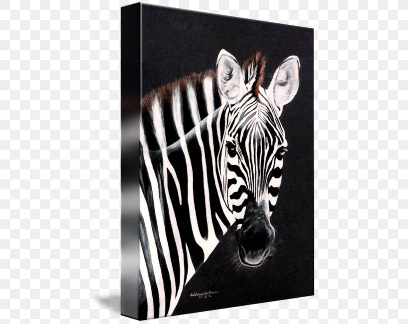 Quagga Watercolor Painting Art Printmaking, PNG, 454x650px, Quagga, Abstract Art, Art, Black And White, Canvas Download Free
