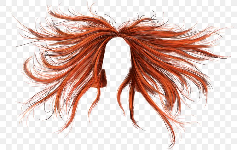 Brown Hair Orange Hair Coloring, PNG, 800x520px, Comb, Auburn Hair, Black Hair, Blond, Brown Hair Download Free
