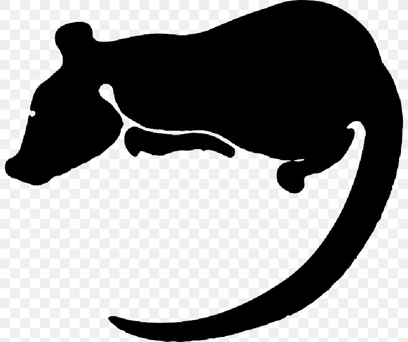 Clip Art Rat Vector Graphics Silhouette Free Content, PNG, 800x688px, Rat, Blackandwhite, Carnivore, Chinese Zodiac, Drawing Download Free