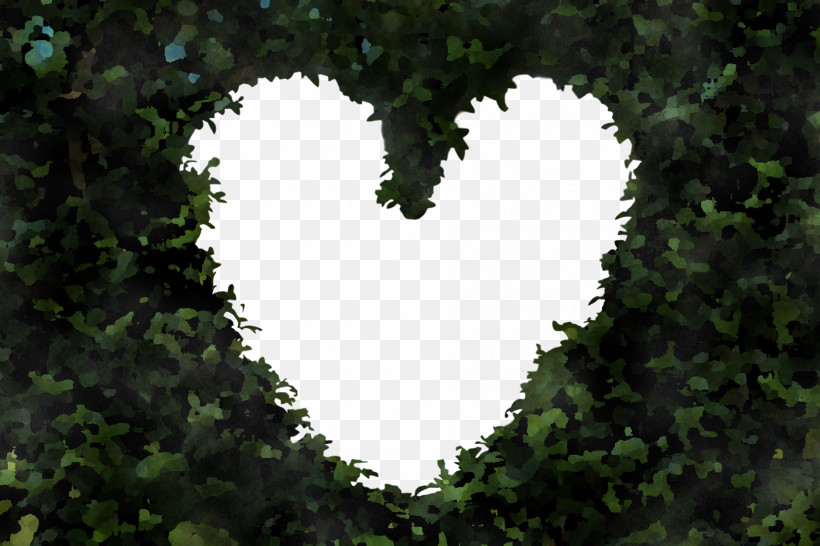 Heart Leaf Green Sky Tree, PNG, 1880x1253px, Heart, Branch, Grass, Green, Jungle Download Free