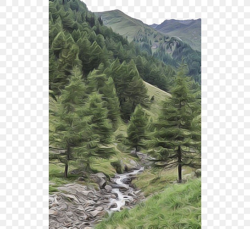 Highland Mountainous Landforms Nature Tree Natural Landscape, PNG, 500x750px, Highland, Hill Station, Mountain, Mountainous Landforms, Natural Landscape Download Free