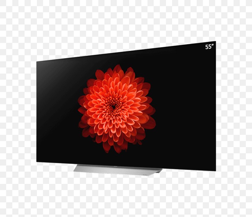 LG 4K Resolution OLED High-definition Television, PNG, 800x708px, 4k Resolution, Chrysanths, Daisy Family, Display Device, Flower Download Free