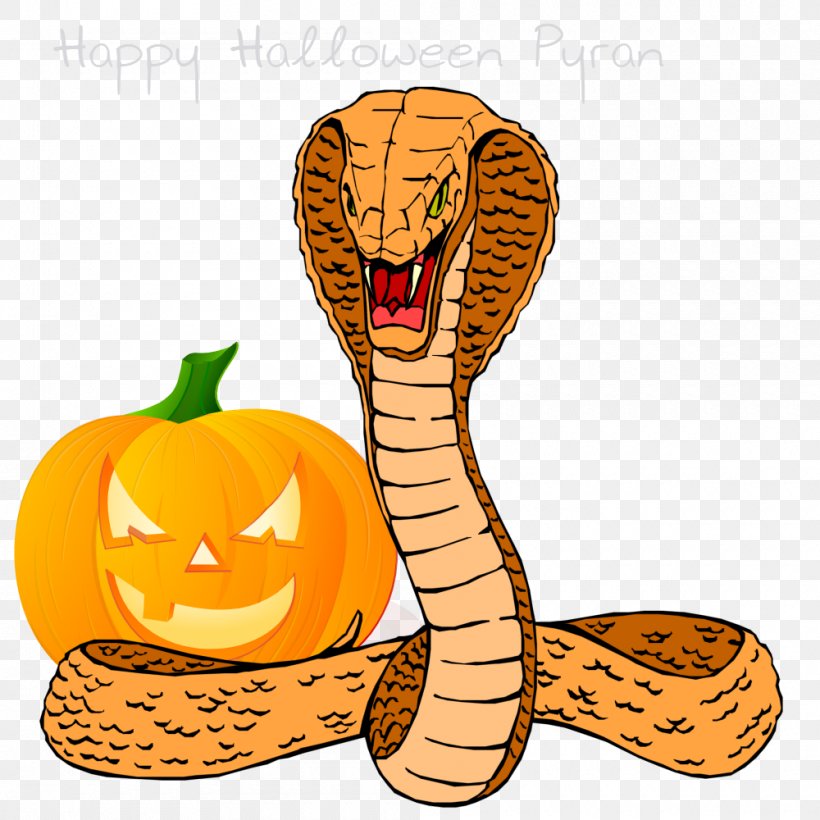 Snakes King Cobra Clip Art Vector Graphics Illustration, PNG, 1000x1000px, Snakes, Cobra, Drawing, Elapidae, Fruit Download Free