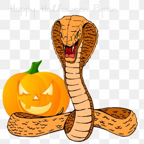 Pyran - Snakes King Cobra Clip Art Vector Graphics Illustration PNG