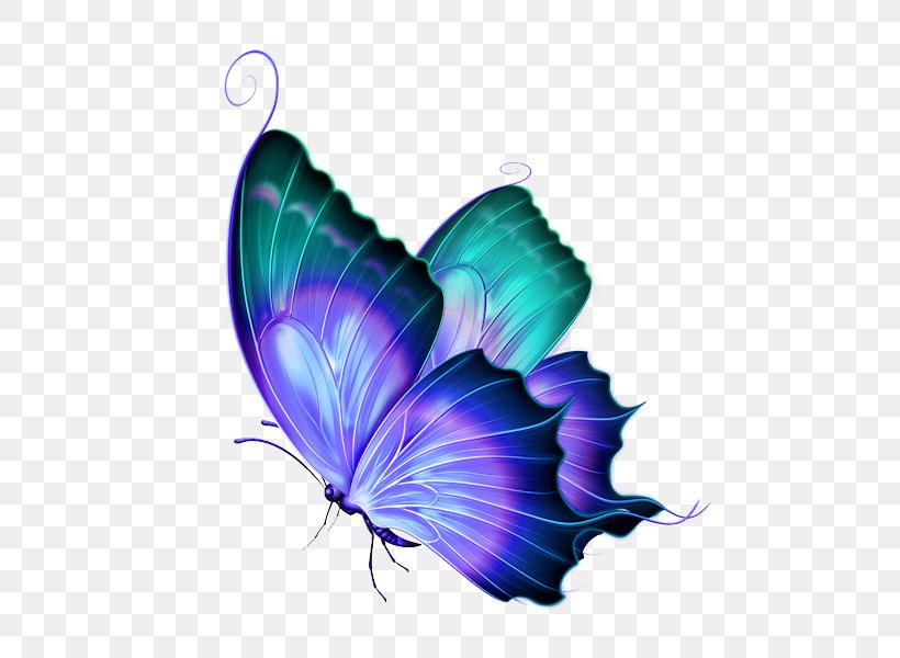 Butterfly Greta Oto Clip Art, PNG, 532x600px, Butterfly, Arthropod, Blue, Bluegreen, Color Download Free