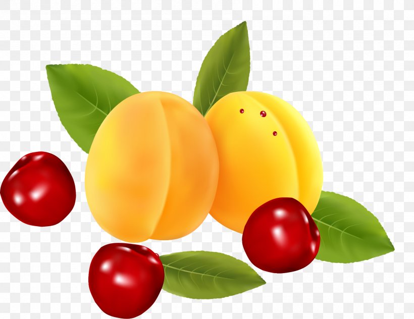 Peach Cherry Icon, PNG, 1795x1385px, Peach, Apple, Auglis, Cherry, Citrus Download Free