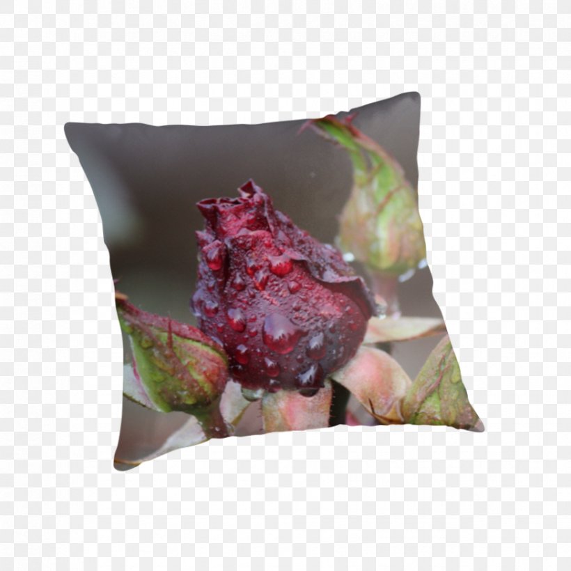 Throw Pillows Cushion Flower, PNG, 875x875px, Throw Pillows, Cushion, Flower, Pillow, Plant Download Free