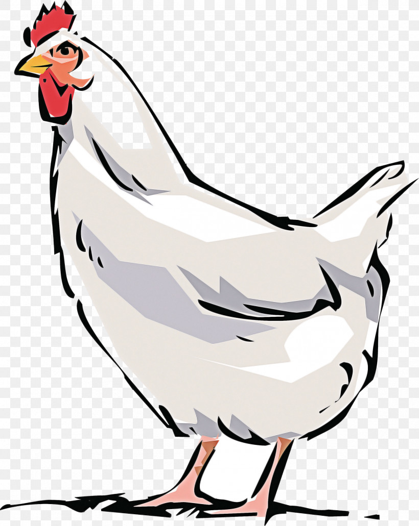 Bird Chicken Beak Rooster White, PNG, 2386x3000px, Bird, Animal Figure, Beak, Chicken, Coloring Book Download Free