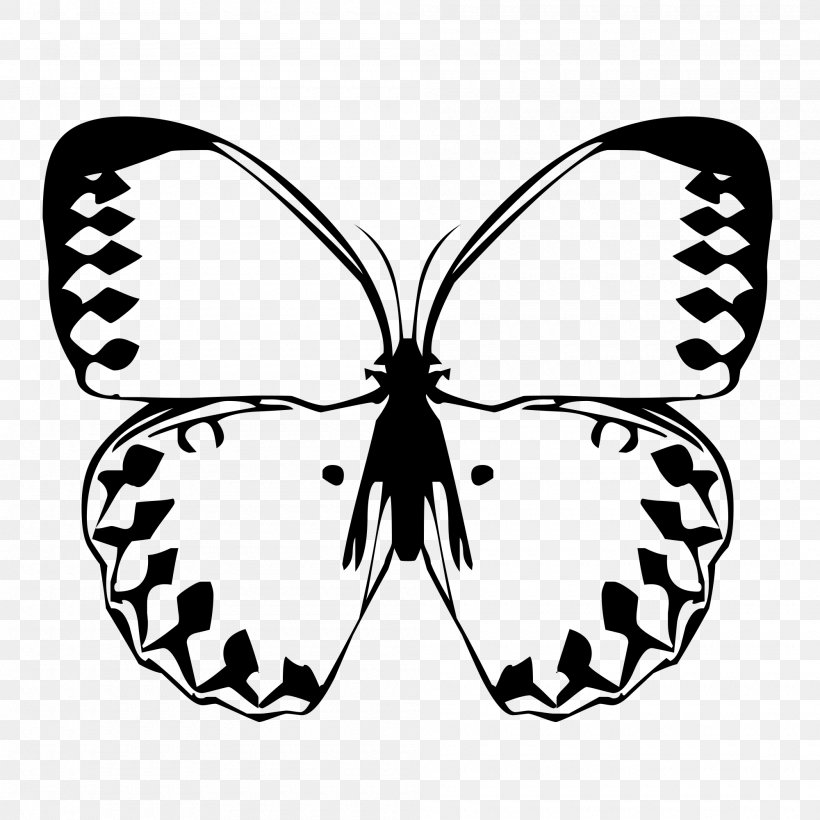 Butterfly Decal Graphium Sarpedon Illustration, PNG, 2000x2000px, Butterfly, Arthropod, Black And White, Bow Tie, Brush Footed Butterfly Download Free