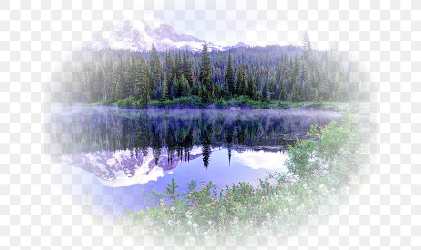 Cartoon Nature Background, PNG, 650x488px, Mount Rainier, Forest, Grand Teton National Park, Lake, Landscape Download Free