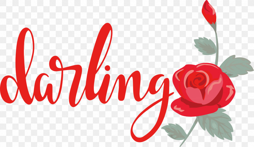 Darling Wedding, PNG, 3000x1745px, Darling, Flower, Logo, Rose, Typography Download Free