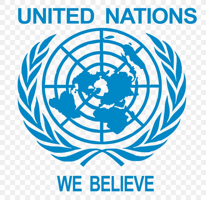 United Nations University Flag Of The United Nations United Nations Development Programme, PNG, 773x800px, United Nations University, Area, Brand, Flag Of The United Nations, Logo Download Free