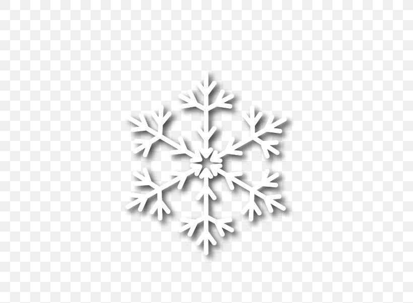 Uvrier Snowflake Schema, PNG, 531x602px, Snowflake, Android, Black And White, Christmas, Google Images Download Free