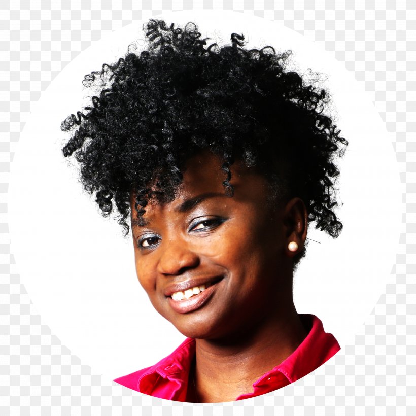 Afro Jheri Redding Jheri Curl Hair Coloring Wig, PNG, 2692x2695px, Afro, Anniversary, Audit, Black Hair, Board Of Directors Download Free