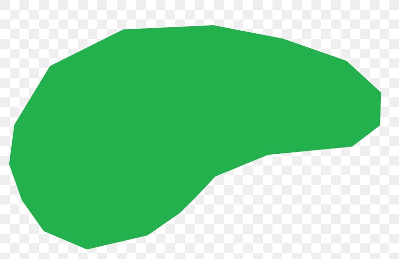 Line Angle Leaf, PNG, 800x532px, Leaf, Cap, Grass, Green, Headgear Download Free
