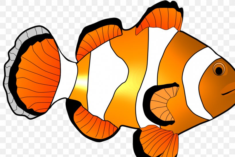 Clownfish Cartoon Clip Art, PNG, 1067x715px, Clownfish, Animal, Artwork, Cartoon, Fish Download Free