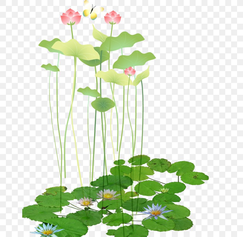 Download Software Computer File, PNG, 669x800px, Software, Annual Plant, Aquatic Plant, Art, Branch Download Free