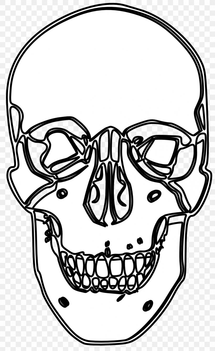 Drawing Line Art Clip Art, PNG, 1264x2059px, Drawing, Art, Artwork, Black And White, Bone Download Free
