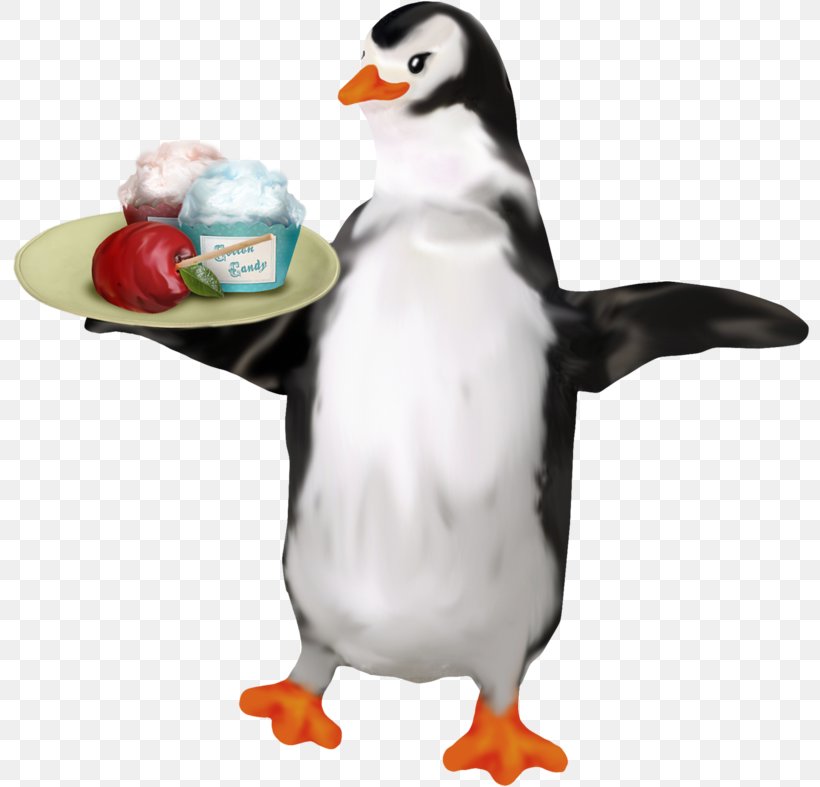 Penguin Duck Drawing, PNG, 800x787px, Penguin, Animal, Beak, Bird, Cartoon Download Free