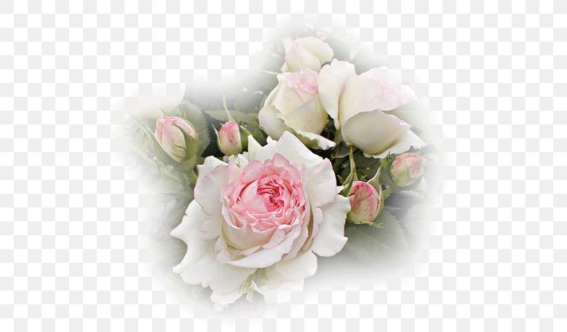 Blog Angelus .de, PNG, 508x480px, Blog, Angelus, Artificial Flower, Com, Cut Flowers Download Free