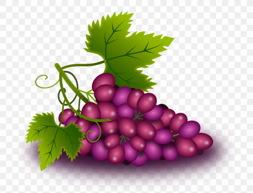 Common Grape Vine Wine Grape Leaves, PNG, 944x720px, Grape, Common Grape Vine, Food, Fruit, Grape Juice Download Free