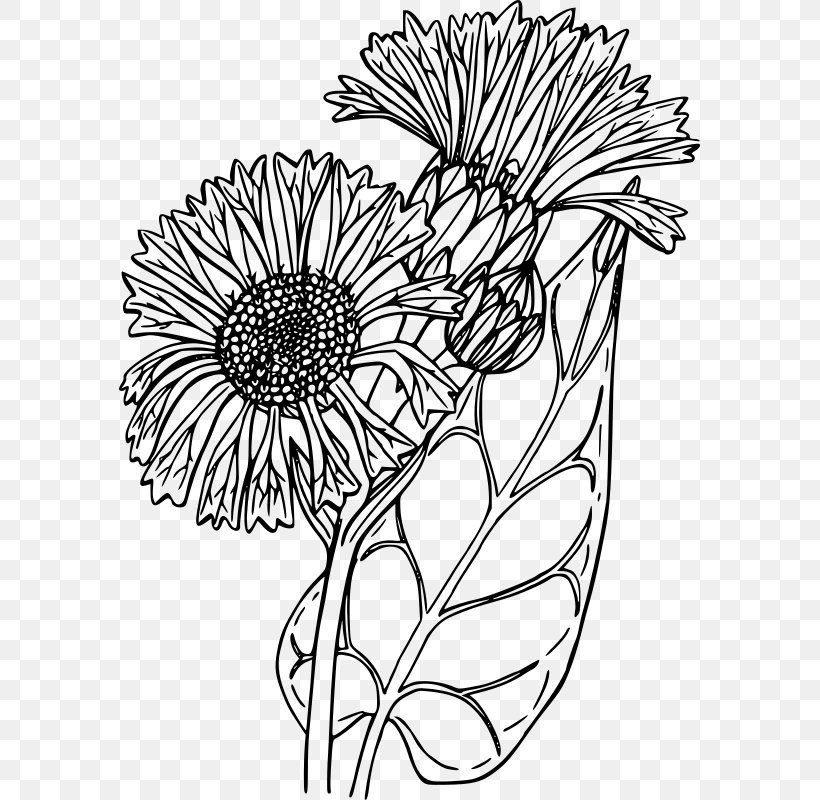 Floral Design Balsamorhiza Careyana, PNG, 581x800px, Floral Design, Area, Artwork, Balsamorhiza, Black Download Free