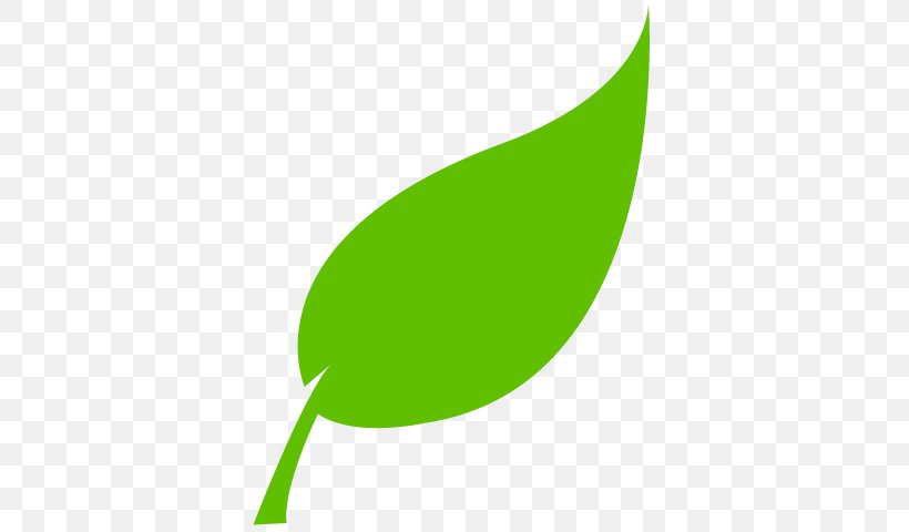 Leaf Clip Art, PNG, 640x480px, Leaf, Fern, Grass, Green, Logo Download Free