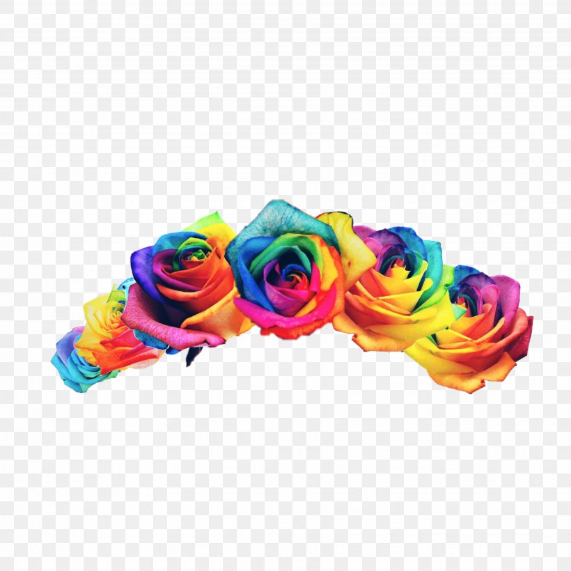 Rainbow Rose Five Nights At Freddy's: The Twisted Ones Android Garden Roses, PNG, 3464x3464px, Rainbow Rose, Amino, Android, Cut Flowers, Electric Blue Download Free