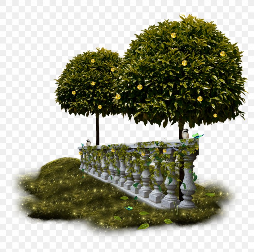 Clip Art Image Tree JPEG, PNG, 1024x1014px, Tree, Centerblog, Evergreen, Flowerpot, Grass Download Free