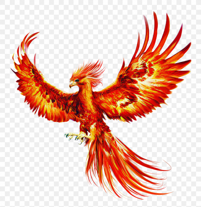 Eagle Wing Bird Bird Of Prey Golden Eagle, PNG, 994x1024px, Eagle, Accipitridae, Bird, Bird Of Prey, Falconiformes Download Free