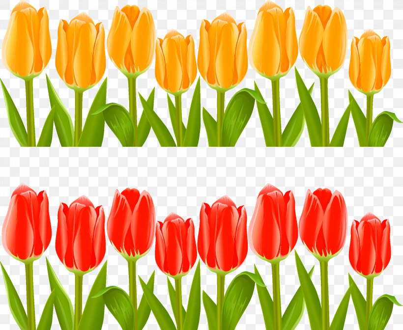 Indira Gandhi Memorial Tulip Garden Flower Clip Art, PNG, 2244x1839px, Indira Gandhi Memorial Tulip Garden, Cut Flowers, Field, Floristry, Flower Download Free