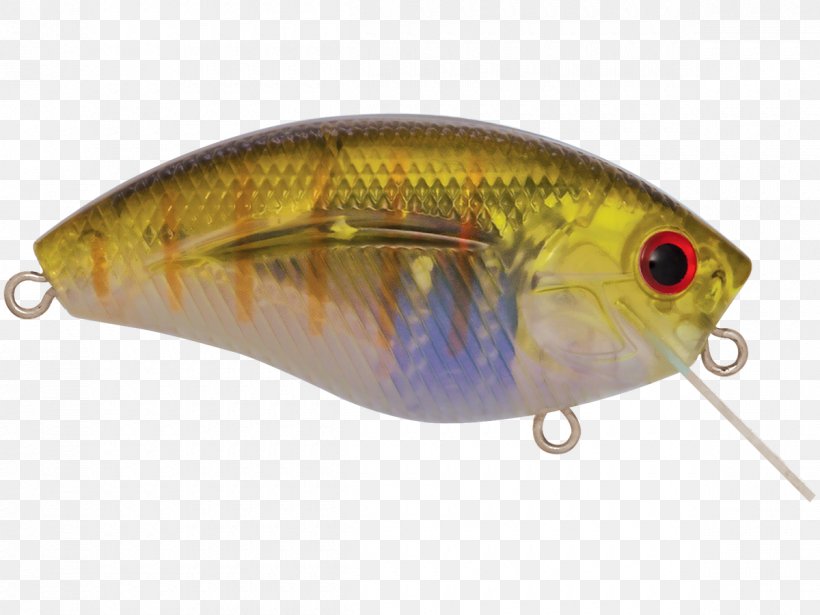 Perch Spoon Lure Fish AC Power Plugs And Sockets, PNG, 1200x900px, Perch, Ac Power Plugs And Sockets, Bait, Bony Fish, Fish Download Free