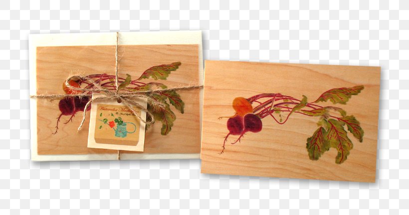 Paper Watercolor Painting Beetroot Envelope, PNG, 756x432px, 2018 Bmw X6, Paper, Beetroot, Bmw X6, Color Download Free