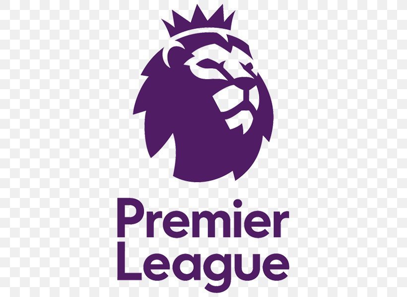2017–18 Premier League 2016–17 Premier League 2018–19 Premier League 2015–16 Premier League West Bromwich Albion F.C., PNG, 500x600px, 2018, West Bromwich Albion Fc, Area, Artwork, Brand Download Free