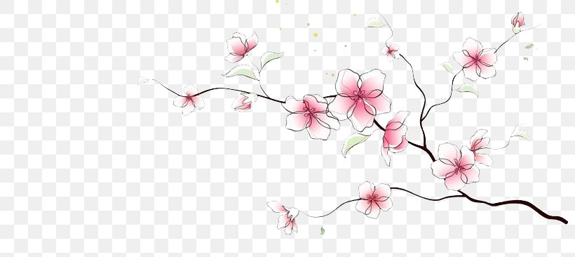 Cherry Blossom Drawing Art, PNG, 800x366px, Cherry Blossom, Advertising, Art, Artwork, Blossom Download Free