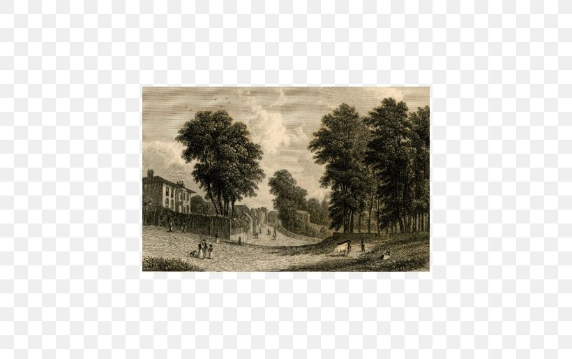 Hampstead Steel Engraving Printing Vintage Print, PNG, 514x514px, Hampstead, Engraving, Etching, Field, Handcolouring Of Photographs Download Free