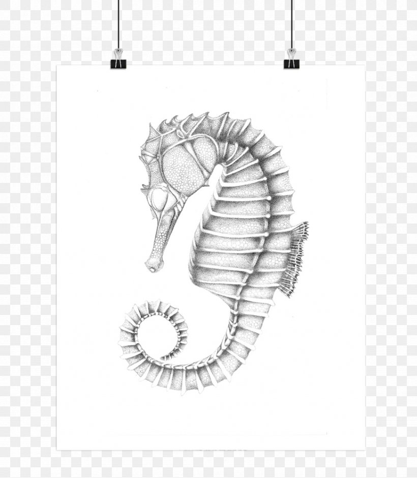 Seahorse Poster Text, PNG, 871x1000px, Seahorse, Black And White, Drawer, Drawing, Fish Download Free