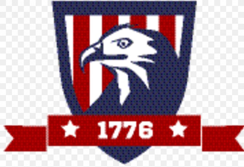 Eagle Logo, PNG, 862x591px, Logo, Bald Eagle, Bird, Eagle, Emblem Download Free