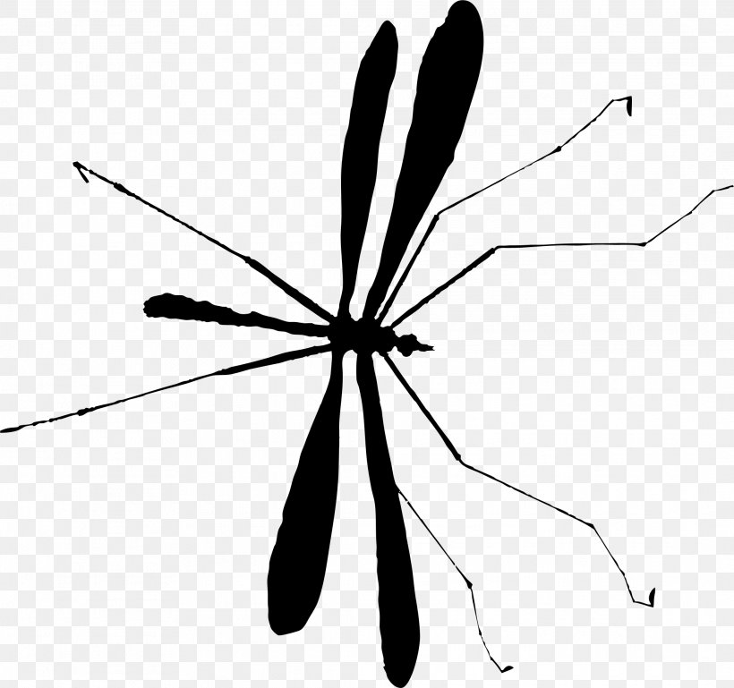 Mosquito Insect M / 0d Black & White, PNG, 2129x1997px, Mosquito, Arthropod, Black, Black M, Black White M Download Free