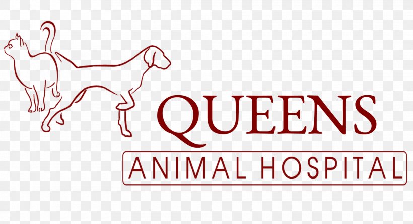 Queens Animal Hospital Dog Veterinarian Clinique Vétérinaire Veterinary Medicine, PNG, 1920x1043px, Watercolor, Cartoon, Flower, Frame, Heart Download Free